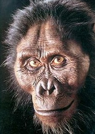 Homo floresiensis