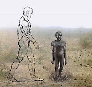 Homo floresiensis a człowiek współczesny